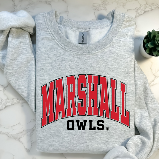 Owls Sweatshirt